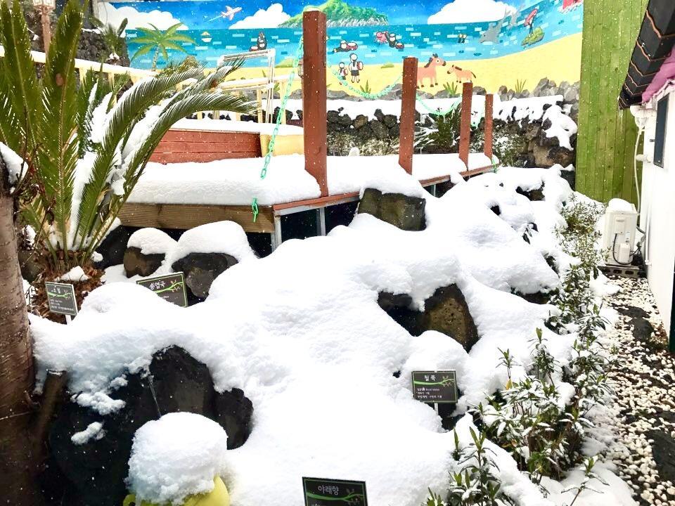 Little Haenyeo Villa Jeju Dış mekan fotoğraf